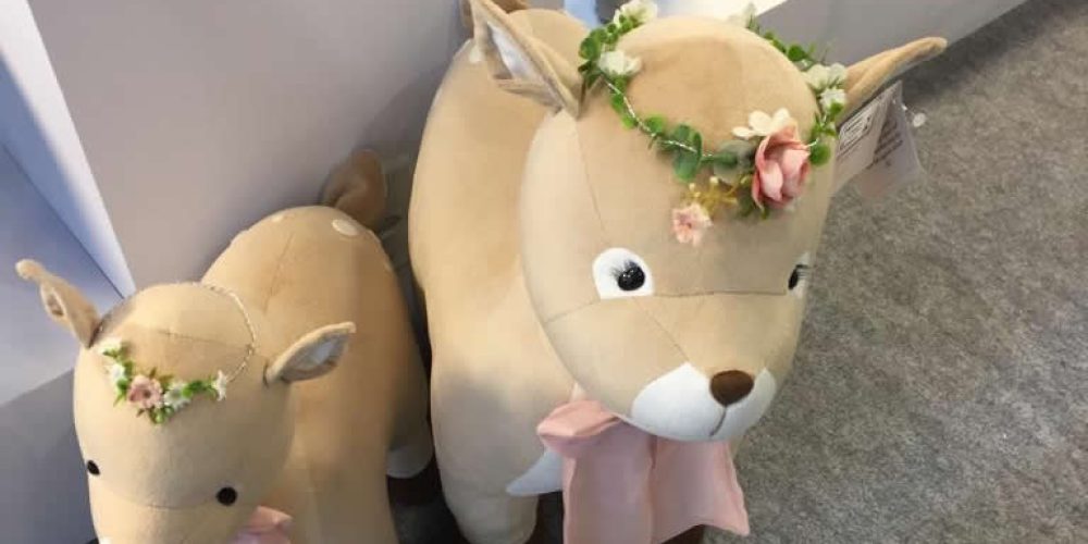 bichos que encantam e nem sempre são os tradicionais “ursinhos”